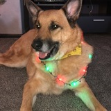 Entry image for Marco