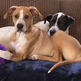 Entry image for June and Charlie 