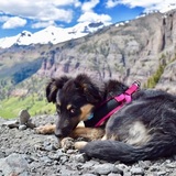 Entry image for Annabelle