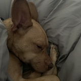 Entry image for Keiko