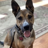 Entry image for Ernie