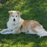 Entry image for Lanikai