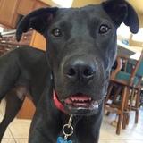 Entry image for SamMitch 