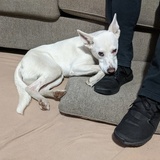 Entry image for Mister Darcy