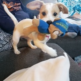 Entry image for Winnie