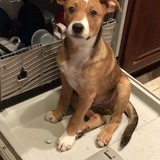 Entry image for Carl