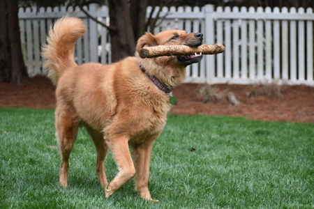 Entry image for Abilene. Clicking this image will show a larger photo