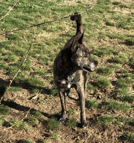 Entry image for Maddie. Clicking this image will show a larger photo