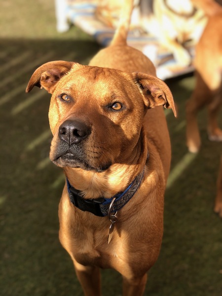 Entry image for Pete. Clicking this image will show a larger photo