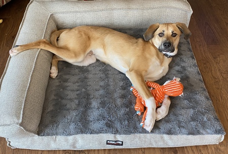 Entry image for Diesel. Clicking this image will show a larger photo