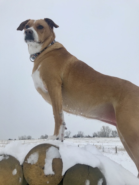 Entry image for Jolene Louise. Clicking this image will show a larger photo