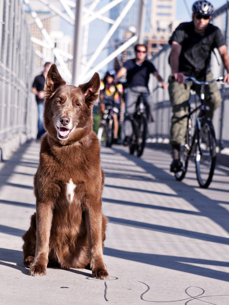 Entry image for Paolo. Clicking this image will show a larger photo