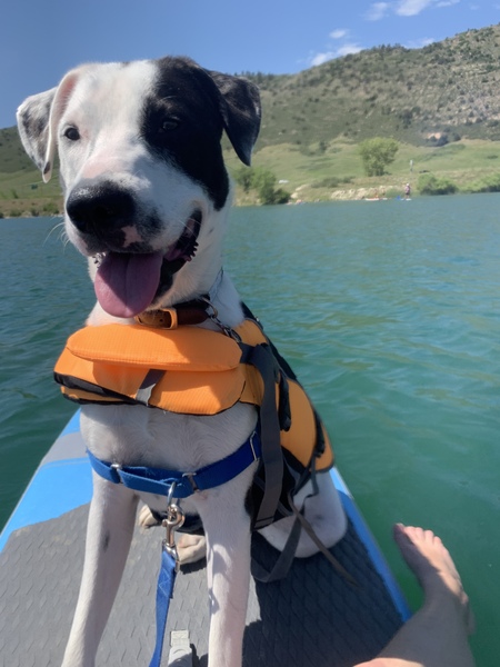 Entry image for Maui. Clicking this image will show a larger photo