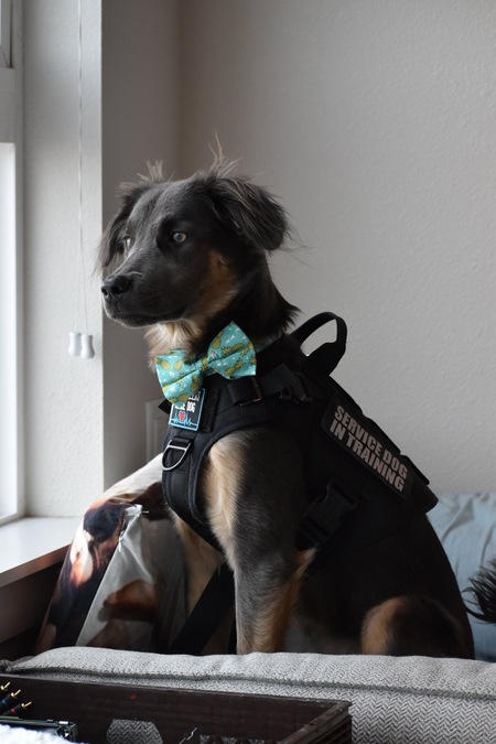 Entry image for Jade❤️. Clicking this image will show a larger photo