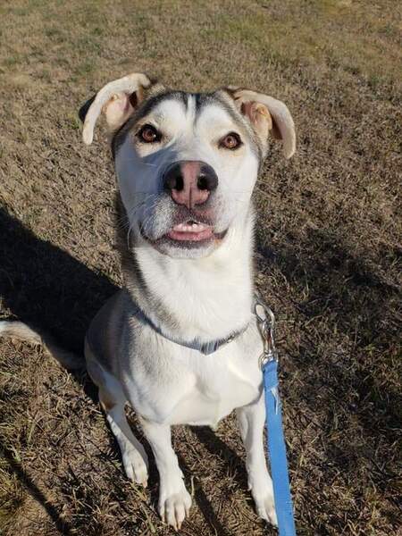 Entry image for Ty. Clicking this image will show a larger photo