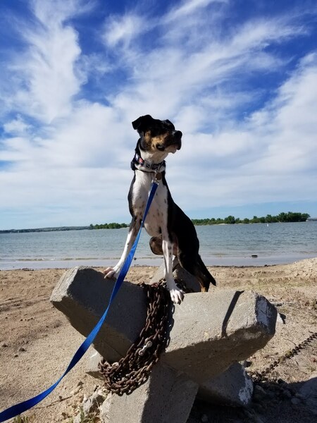 Entry image for Franklin. Clicking this image will show a larger photo