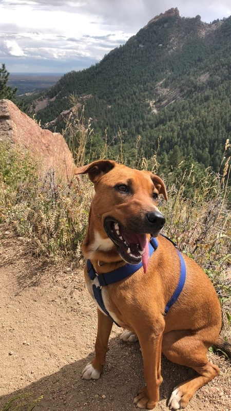 Entry image for Terra . Clicking this image will show a larger photo