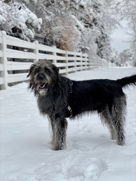 Entry image for Jackie Moon. Clicking this image will show a larger photo