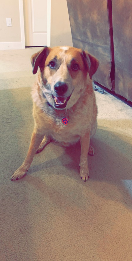 Entry image for Walt . Clicking this image will show a larger photo