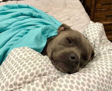 Entry image for Denver . Clicking this image will show a larger photo