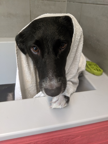 Entry image for Fia. Clicking this image will show a larger photo