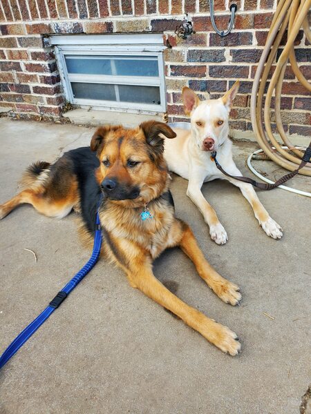 Entry image for Doc & Watson. Clicking this image will show a larger photo