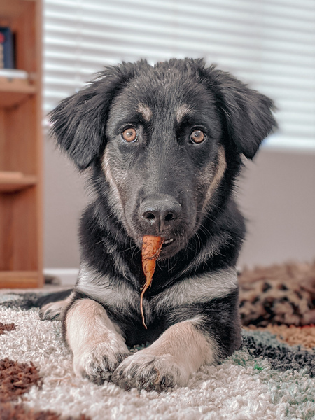 Entry image for Rye. Clicking this image will show a larger photo