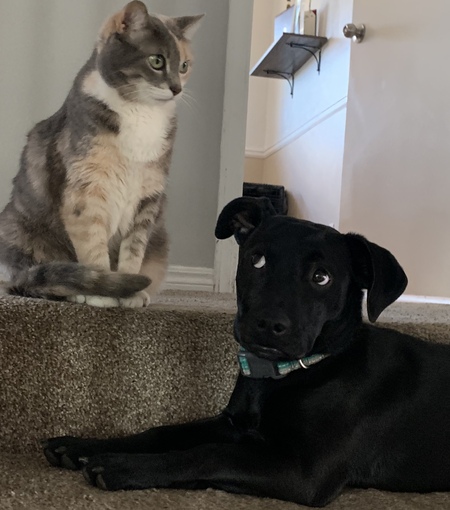 Entry image for River. Clicking this image will show a larger photo