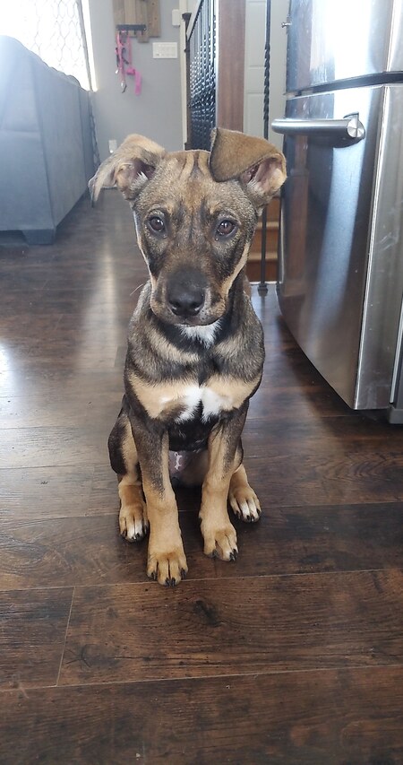 Entry image for Eve. Clicking this image will show a larger photo