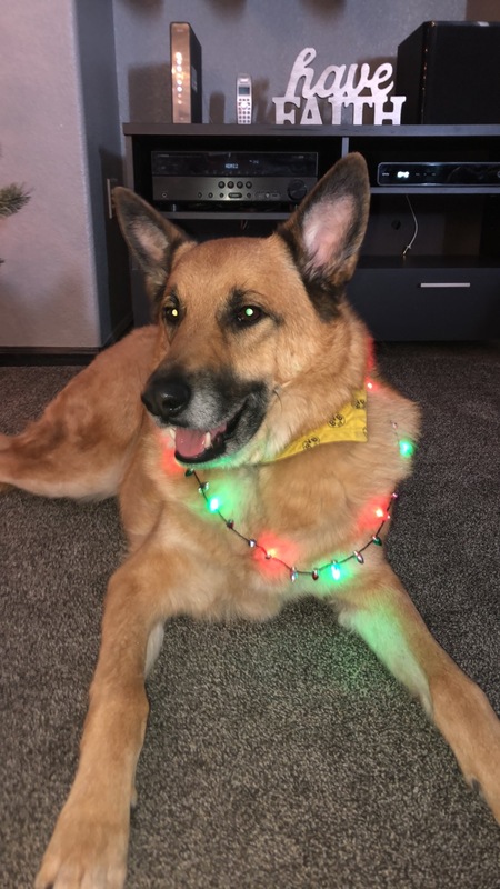 Entry image for Marco. Clicking this image will show a larger photo