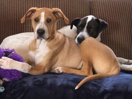 Entry image for June and Charlie . Clicking this image will show a larger photo