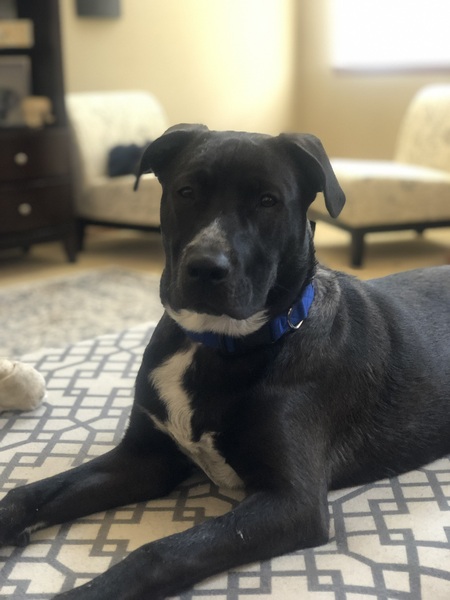 Entry image for Axel. Clicking this image will show a larger photo