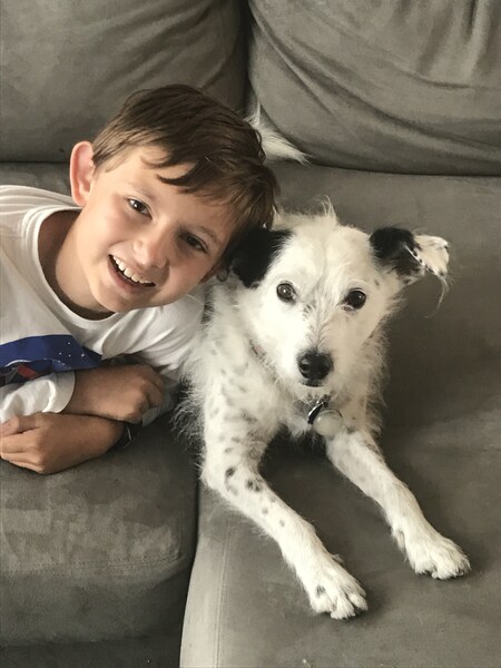 Entry image for Cal. Clicking this image will show a larger photo