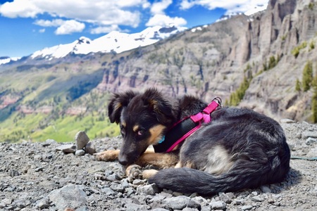 Entry image for Annabelle. Clicking this image will show a larger photo