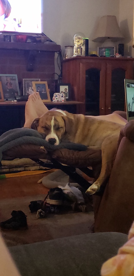 Entry image for Tig. Clicking this image will show a larger photo