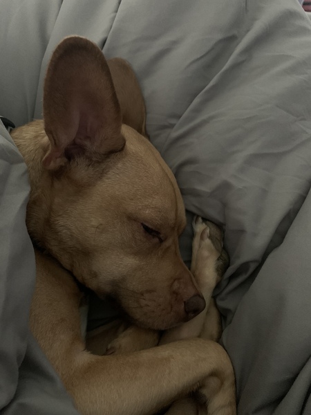 Entry image for Keiko. Clicking this image will show a larger photo