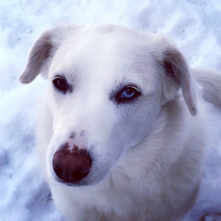 Entry image for Akila . Clicking this image will show a larger photo