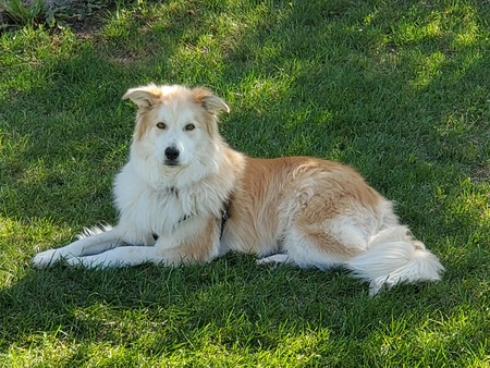 Entry image for Lanikai. Clicking this image will show a larger photo