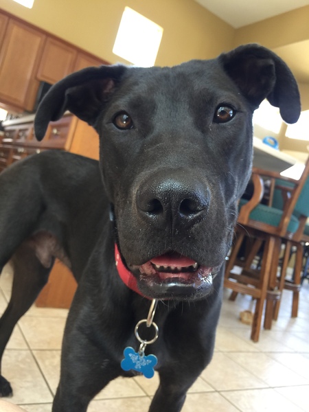 Entry image for SamMitch . Clicking this image will show a larger photo