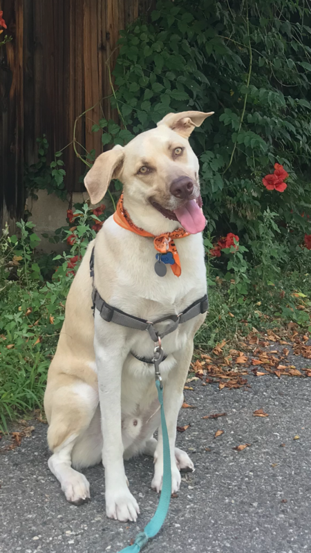 Entry image for Rio. Clicking this image will show a larger photo