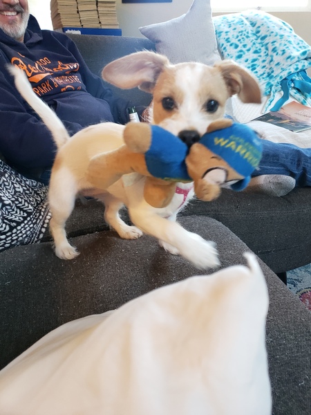 Entry image for Winnie. Clicking this image will show a larger photo