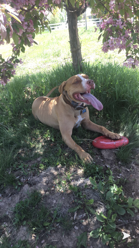 Entry image for Oliver. Clicking this image will show a larger photo