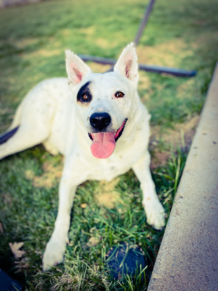 Entry image for Duy. Clicking this image will show a larger photo