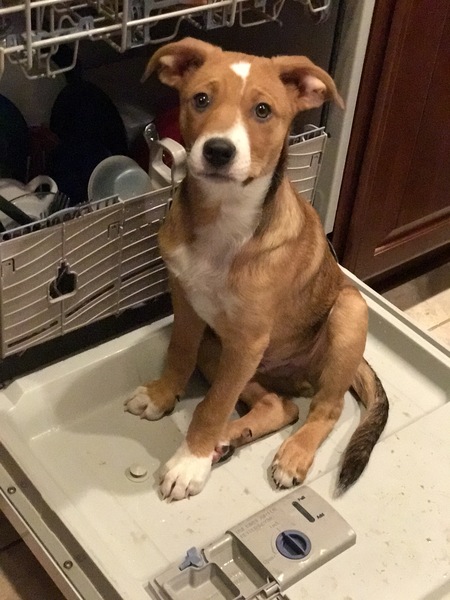 Entry image for Carl. Clicking this image will show a larger photo