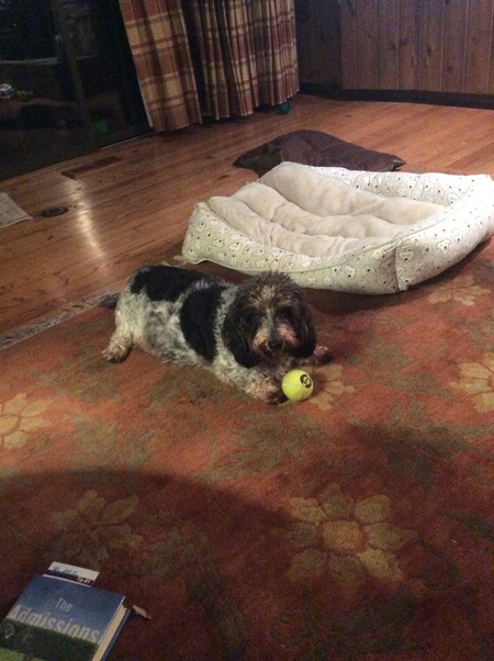 Brinkley
