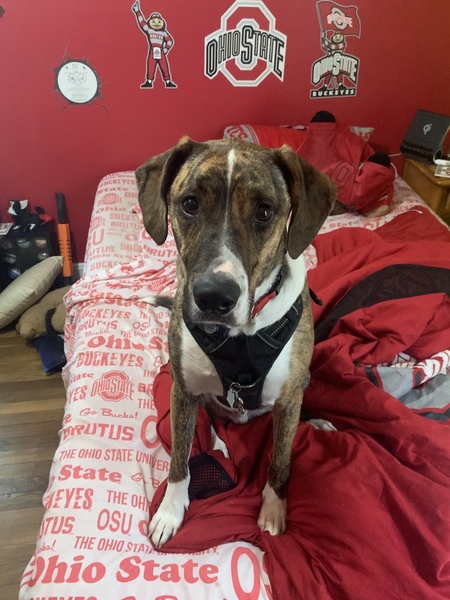 Caesar