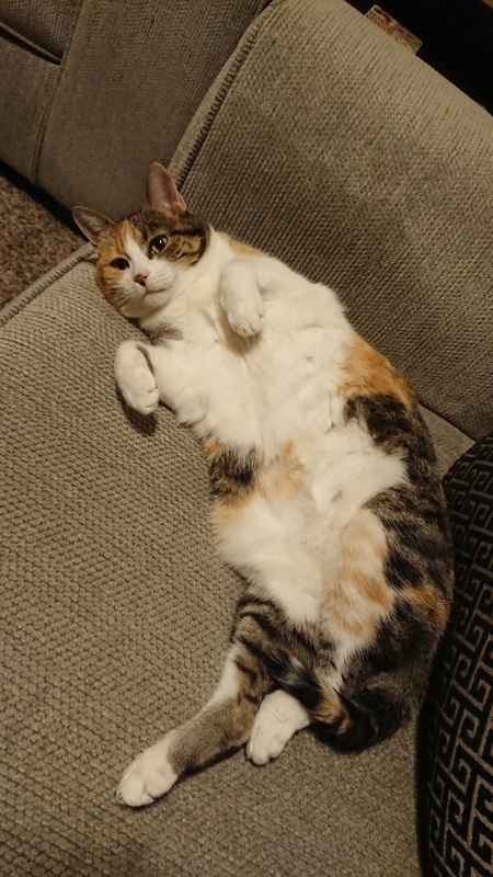Lucille