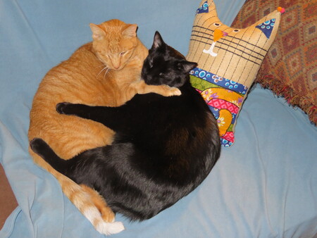 Oinger and Tansy