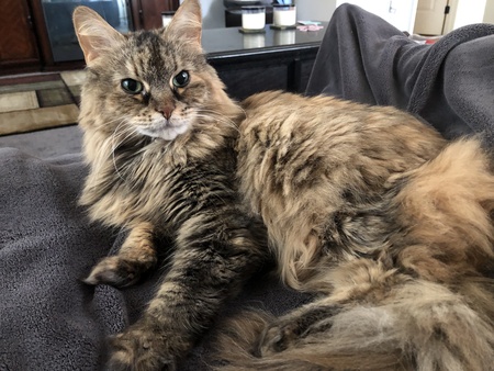 Chloe