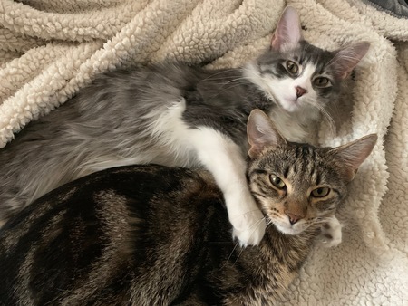 Loki & Smokey